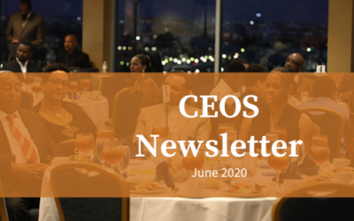 CEOS Newsletter June 2020